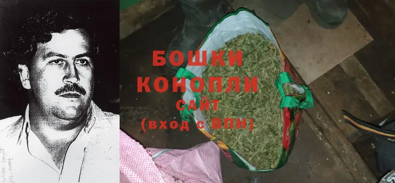 Канабис SATIVA & INDICA  купить закладку  Ухта 